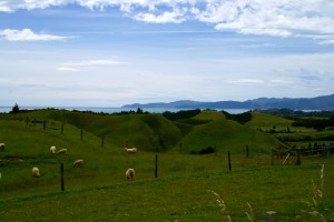 Neuseelands Landschaft - Vorgeschmack für Hobbingen